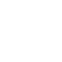 Brainy SLP LLC